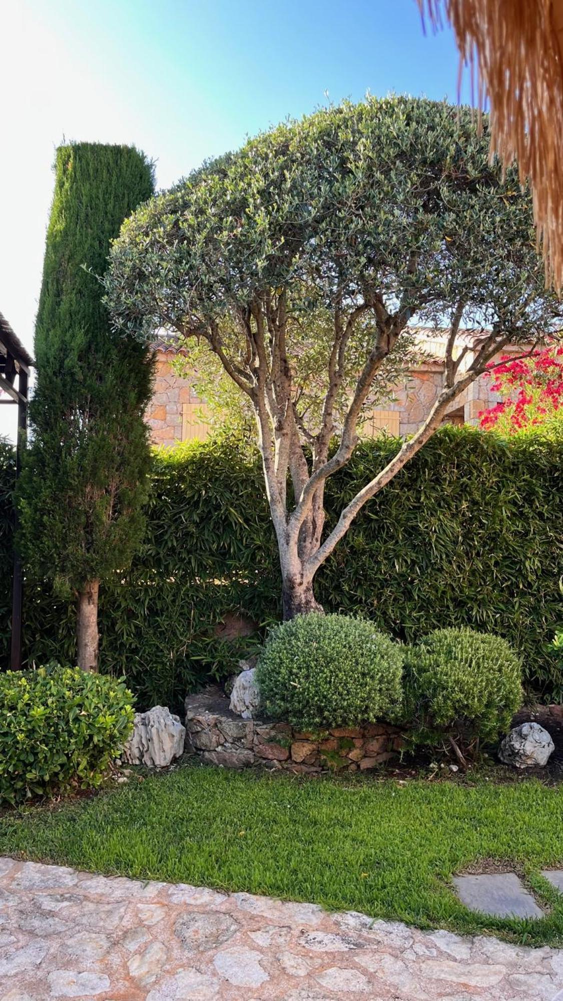 Bed & Breakfast Chez Virginie